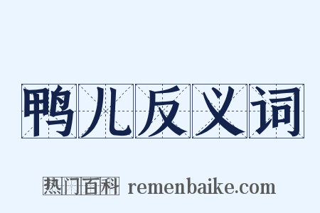 鸭儿反义词是什么意思的图片